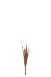 Grasspriet Bruin - (52978)